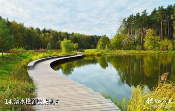 南丹巴平濕地森林康養旅遊景區-濱水棧道照片