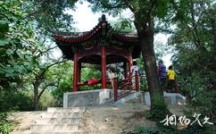 北京紫竹院公园旅游攻略之四君亭