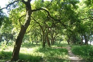 四川泸州江阳茜草旅游攻略-茜草街道景点排行榜