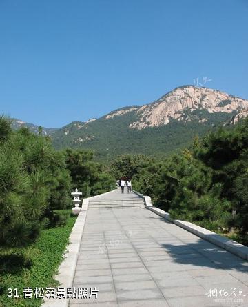 泰安新泰魯商·新甫山景區-青松嶺照片