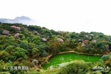 广东天井山国家森林公园-广东屋脊景区照片