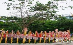 西双版纳勐泐文化旅游攻略之菩提树
