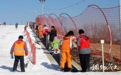 龙井马蹄山旅游攻略之魔毯