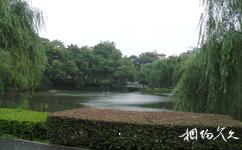 湖南长沙市博物馆旅游攻略之风景