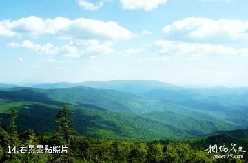 黑龍江涼水自然保護區-春景照片