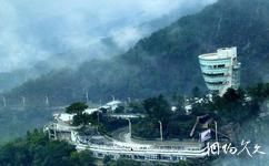 重慶南山植物園旅遊攻略之一棵樹觀景台