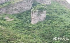 乐清灵山旅游攻略之天柱岩
