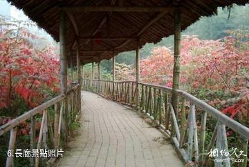 南京高淳瑤池生態旅遊區-長廊照片
