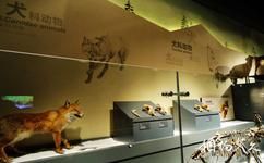 大慶市博物館旅遊攻略之《東北第四紀哺乳動物》