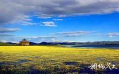 甘肅尕海則岔國家級自然保護區旅遊攻略之濕地