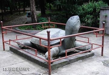 臨安錢王陵-石龜照片