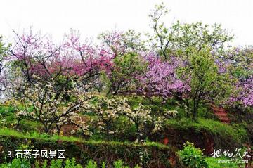 宜宾长宁佛来山-石燕子风景区照片