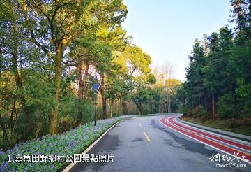 嘉魚田野鄉村公園照片