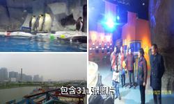 天津海昌极地海洋世界驴友相册