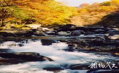 米仓山国家森林公园旅游攻略之盘虬链瀑