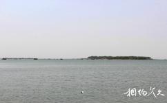 河北衡水湖國家級自然保護區旅遊攻略之衡水湖