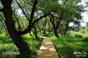伊犁尼勒克湿地古杨风景区-生态木栈道照片