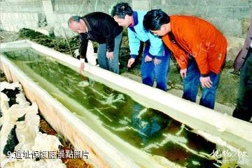 杭州跨湖橋遺址博物館-遺址保護廳照片