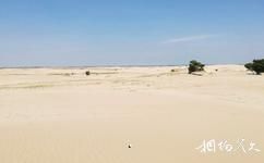 內蒙古草甘沙漠旅遊攻略之沙漠