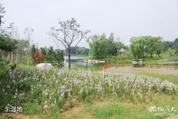 青州弥河文化旅游区-湿地照片