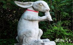 青山湖省級旅遊攻略之樹林中的雕塑