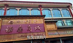 西藏冲赛康驴友相册