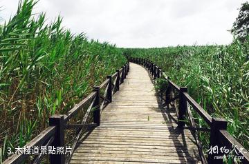 崇明西沙國家濕地公園-木棧道照片