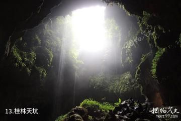 桂林永福金钟山旅游度假区-桂林天坑照片