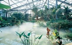 中科院华南植物园旅游攻略之热带水生植物区