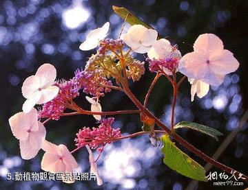 梅河口市四季生態園-動植物觀賞區照片