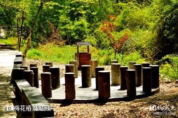 河南靈寶燕子山風景區-梅花樁照片