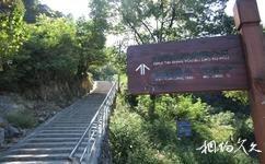 温州吹台山森林公园旅游攻略之吹台山游步道