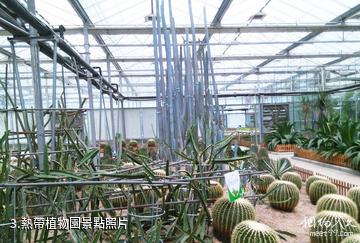蕪湖大浦鄉村世界-熱帶植物園照片
