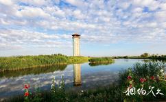 张掖国家湿地公园旅游攻略之景观塔