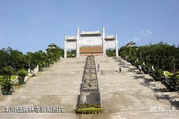 順德寶林寺照片