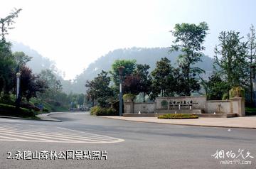 重慶南川永隆山森林公園-永隆山森林公園照片