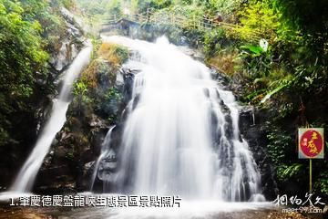 肇慶德慶盤龍峽生態景區照片