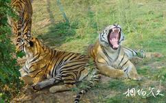南京珍珠泉旅游攻略之野生动物生态园