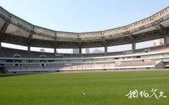 上海八萬人體育場旅遊攻略之場內草坪