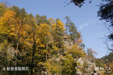 安康化龍山國家級自然保護區-秋景照片