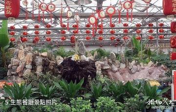 華陰鴕鳥王生態園-生態餐廳照片