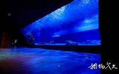 重庆汉海海洋公园旅游攻略之鲨鱼馆