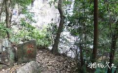 瑞安花岩国家森林公园旅游攻略之双折瀑