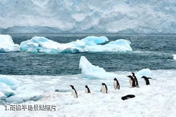 南極半島照片