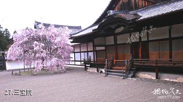 日本醍醐寺-三宝院照片