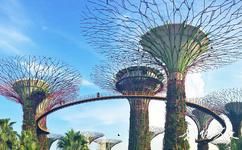 新加坡滨海湾花园旅游攻略