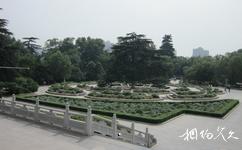 西安兴庆宫公园旅游攻略之牡丹园