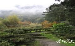 台湾溪头森林公园（溪头自然教育园区）旅游攻略之步道