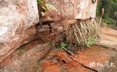 燕子岩国家森林公园旅游攻略之长寿泉