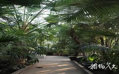 中科院北京植物园旅游攻略之热带、亚热带植物展览温室